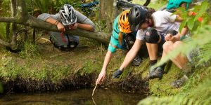 これがMTBの世界！？大自然を満喫するライディング動画